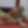 [puzzyfun.com] BJ Cat (That's how it must be, BJ wants to be fucked and inseminated again) [2020-08-16, Blow Job, Fucking, OrgyTwitterPinterestFacebook] [720p] thumb