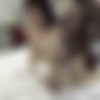 Chanel Noir - Naughtiness with Vic Lowrey - OnlyFans (July 2023) thumb