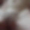 [ATKGirlfriends.com] Elena Koshka - Singapore 8   8 (ele041) (12.2017 - 01.2018) [2017 ., 2018 ., Documentary, Travels, Reality, POV, Nudity, Blowjob, Handjob, Footjob, All sex, Anal sex, Creampie, 1080p] thumb