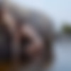 [Hegre.com] Ivan & Olli - Jungle Sex [2024 ., All Sex, Brunette, Blowjob, POV, Small Tits, Hardcore, Masturbation, Couples, Outdoors, 2160p] thumb