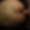 [LadyBoyObsession.com] Amy 5 - Coffee Table Sex Bareback - 13 April 2019 - 1080p thumbnail