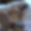 [ATKGirlfriends.com] Halle Von, Blair Summers, Elsa Jean, Jillian Janson, Rilley Star (Cum on Face Compilation) [2020 ., POV, Cum on Face, Blowjob, Footjob, Handjob, Daddy, All Sex, 1080p] thumb