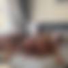 [LegalPorno.com/ PornBox.com] Geisha Kyd, Marika M( Two hot Couples for a hard Orgy)[2023, Gonzo, Hardcore, All Sex, Threesome, 1080p] thumbnail