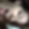 [ATKGirlfriends.com] Ember Stone (Hawaii 7/7) [2016 ., Creampie, Blowjob, Footjob, Orgasm, Red Head, POV, All Sex, 480p] thumb