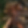 [PublicAgent.com / FakeHub.com] Zaawaadi - African Ebony Loves Big Cock (18.01.2021) [All Sex, Blowjob, POV, Ebony, 720p] thumb