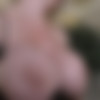 [Meanbitches.com / MeanWorld.com]  - New (20.10.2019)*HD (MBIT) [2019 ., slave, humilation, femdom, cuckold,big ass, 1080p, SiteRip] thumb