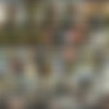 www.harmonyconcepts.com :: Movie Megapack (253 Movies/Partials) thumb