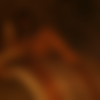 Hip-Hop Honeys presents... Blazin' Asians (2006) [DVD9] thumbnail