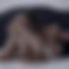 [AGirlKnows] Lee Anne & Emylia Argan (27/01/2019) thumb