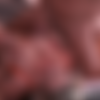 Nasty Cumshot Cumpilation thumbnail