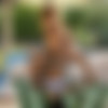 [WhenGirlsPlay.com / Twistys.com] Demi Sutra, Hazel Grace (Planting A Kiss) [31.07.2021, Face Sitting, Pussy Fingering, Pussy Licking, Ebony, Kissing, Lesbian, 1080p] thumb