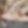[AssHoleFever.com / 21Sextury.com]Bonnie Dolce (Simply Analyzed ) [2023 ., Gonzo, All Sex ,Hardcore,Anal 1080p ] thumb