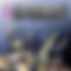 SexyFur Siterip thumbnail