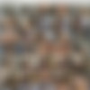 Fiona Cooper 201-300 Missing Files thumbnail