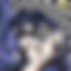 Hentai United Site-Rip...well Site-Rip minus the forbidden content... thumbnail