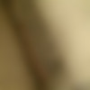 [ExploitedTeens.com] Dillion Harper 12.10.26 [2012 ., POV, Teen, All Sex] thumbnail