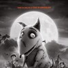 Frankenweenie 2012 1080p BluRay AC-3 5 1 AVC-PiR8 thumb