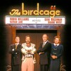 The Birdcage 1996 BluRay 1080p DDP 5 1 x264-hallowed thumb