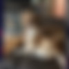 [NakedNews.com] 2019.09.29 [1080p] thumb