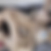 [Tetatita.com] FEEL FREE. CHAPTER 2 (2019, 1080p) thumbnail