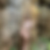 [Onlyfans] Siterip - Anastasia Claire @anastasiaclaire [514 images] [186 videos] thumb