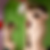 Wearehairy - Miki (9 videos, 9 image sets) thumb