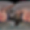 [VRHush.com] Aubree Valentine - From Welcome Cookies To Baby Booties [17.04.2024, Brunette, Cowgirl, Creampie, Finger Bang, Hardcore, Kissing, Natural, Natural Tits, Petite, POV, Pussylick, Standing Missionary, Virtual Reality, SideBySide, 8K, 3840p, SiteRip] [Oculus Rift / Quest 2 / Vive] thumb