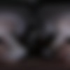 [DarkRoomVR.com] Ada Lapiedra - Her First Role [15.03.2024, Babe, Blowjob, Brunette, Cowgirl, Cum Eating, Doggy Style, Hardcore, Missionary, Natural Tits, POV, Reverse Cowgirl, Shaved Pussy, Stockings, Tattoos, Teen, Virtual Reality, SideBySide, 7K, 3630p, SiteRip] [Oculus Rift / Quest 2 / Vive] thumb