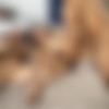 [Onlyfans.com] Nofacemom77, HotCharlieGirl - I catch up with an old college bestie [2023-08-12, Amateur, BBC, Cumshot, Girl/Girl, Hardcore, Interracial, MILF, Threesome (FFM), Hotwife, 1080p, SiteRip] thumb