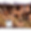 InTheCrack.com [13.06.11] Cindy Starfall #805 (ImageSet) thumb