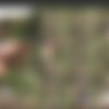 Sneakypee Jul-Aug 2019 thumbnail
