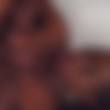 Black-tgirls.com - Ana Andrews Gets Her Ass Fucked thumb