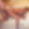 Sylse.com Complete Siterip thumb