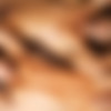 [SeanCody.com] Axel & Shawn (December 16, 2022) [1080p] thumb