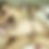 jolieandfriends.com Bak to the seventies thumbnail