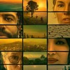 Extrapolations (2023) S01 WEBRip EAC3 5 1 1080p x265-iVy thumb