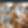 AfricanCasting.com Siterip (as of 2023-09-07) (part 1 of 2) thumbnail
