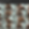 BigAssTease - Full SiteRip thumbnail