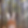 [Onlyfans.com] Molly-Pop - Creampie For Lil Fairy [2023-04-16, Amateur, Babyface, Blowjob, Creampie, Doggystyle, Natural Tits, Straight, Teen, 1080p, SiteRip] thumb