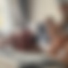 [LegalPorno.com/ PornBox.com] Geisha Kyd, Marika M( Two hot Couples for a hard Orgy)[2023, Gonzo, Hardcore, All Sex, Threesome, 1080p] thumbnail