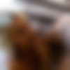 [WifeysWorld.com] Sandra Otterson (Hotwife Fantasy!) [2021.08.10, Sexwife, Mature, All Sex, Interracial, Big Cock, Facial, Cum Swallow, 720p] thumb