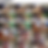 [OnlyFans.com] AsiaXXXTour siterip (11-15-2023) thumb