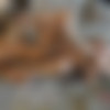 [ATKGirlfriends.com] Alexia Anders & Paris White (POV GG Sex) [2021 ., POV, Lesbians, 69, FaceSitting, Kissing, Orgasm, 2160p, 4k] thumb