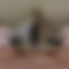 [LethalHardcoreVR.com] Hazel Moore - Hazel Shows Her Appreciation / Hazel Moore Is A Sex Kitten [26.11.2022, Big Tits, Blowjob, Closeup Missionary, Cowgirl, Cum on Face, Doggystyle, Handjob, Hardcore, Masturbation, Missionary, Natural Tits, POV, Reverse Cowgirl, Straight, Trimmed Pussy, HIGH BITRATE, SideBySide, 8K, 4096p, SiteRip] [Oculus Rift / Quest 2 / Vive] thumb