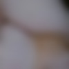 [theslutsnextdoor.com] 05.02.17 Christie Wett quickie creampie thumb
