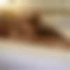 [Onlyfans.com] Datbootytho55 - Hubby Shares His Hotwife With BBC [2023-11-30, Amateur, BBC, Big Cock, Cuckold, Cumshot, Interracial, Threesome (MMF), 1080p, SiteRip] thumb