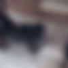 fucking in a hotel with a black slut thumb