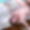 [FacialAbuse.com] I Think She Hated It [2021, Bbw, Dp, Oral, Facial, Anal, Blowjobs, ThroatFuck, Vomit, Humiliation, Pissing, 720p] thumb