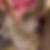 [JulesJordan.com] Abella Danger - Bad Girl Abella Danger Interracial Dp (15.06.2020) [2020 ., DP, Anal, Ass To Mouth, Big Butts, Black, Blowjobs, Brunettes, Creampie, Deep Throat, Interracial, Natural, 720p] thumb