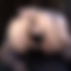 [KinkyBites / Kink.com] Mimosa - For Perverts Only: Mimosa Gets Fucked! (09.08.2021) [2021 ., Solo, Machine Dildo, Fucking Machine, BBW, Masturbation, Dildo, Vibrator, Stockings, SiteRip, 720p] thumbnail